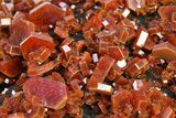 Top-Quality, Deep Red Vanadinite Crystals on Hematite - Morocco #291082-3